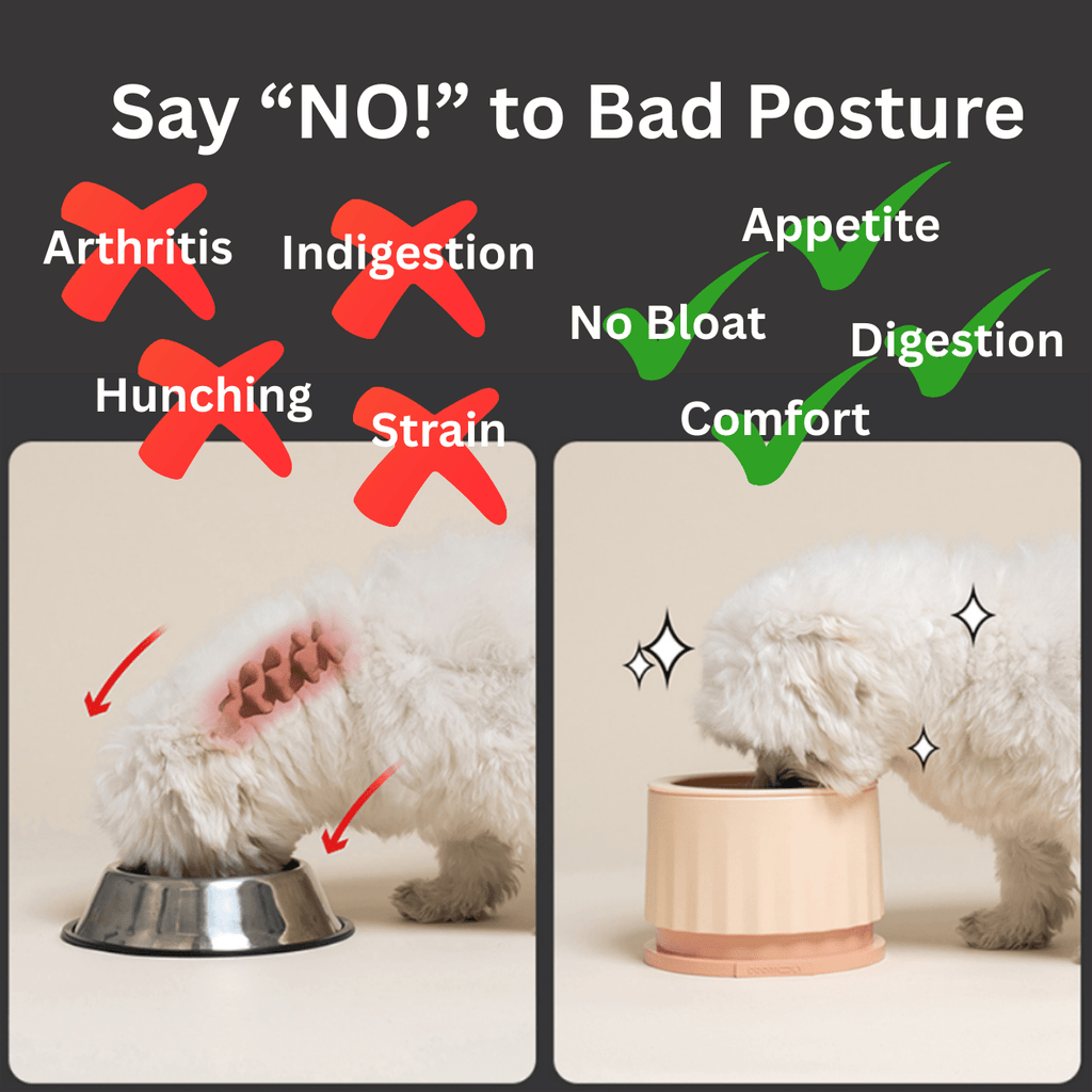 CCOMOOLY - Picky Furry Bowl for Dogs & Cats - Little Mochi Co.