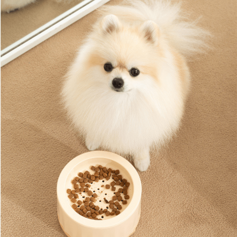 Picky Furry Bowl – Adjustable Elevated Feeder, Slow - Feed & Picky - Eater Design for Dogs and Cats - Little Mochi Co. (UEN 53505622B)