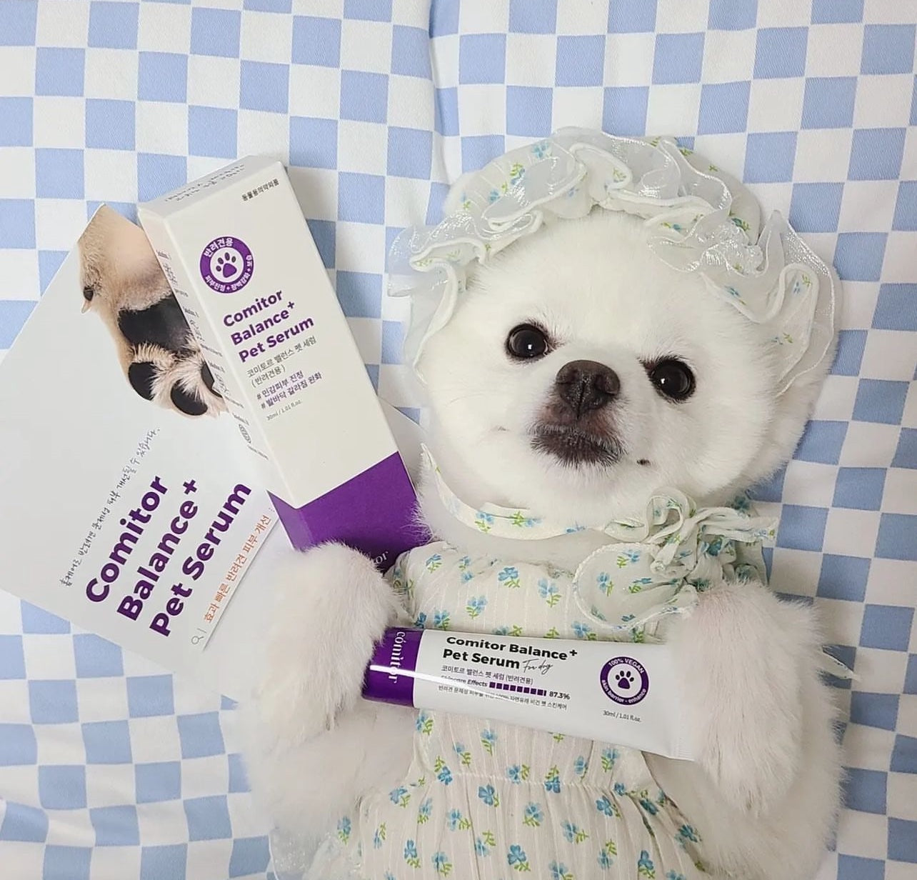 Comitor Balance+ Pet Serum 50ml | Korean Vegan Sensitive Skin Paw Repair Serum for Dogs & Cats